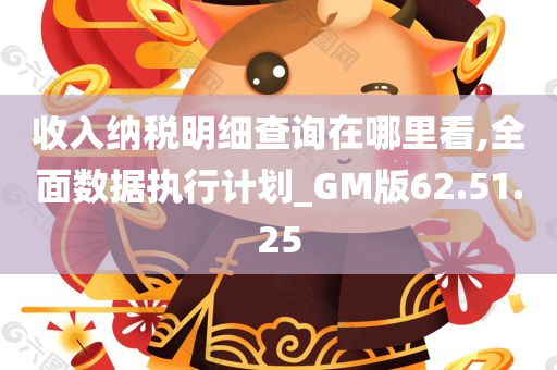 收入纳税明细查询在哪里看,全面数据执行计划_GM版62.51.25