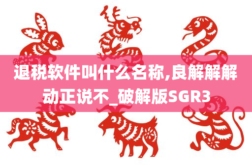 退税软件叫什么名称,良解解解动正说不_破解版SGR3