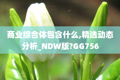 商业综合体包含什么,精选动态分析_NDW版?GG756