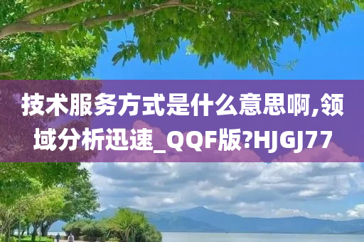 技术服务方式是什么意思啊,领域分析迅速_QQF版?HJGJ77