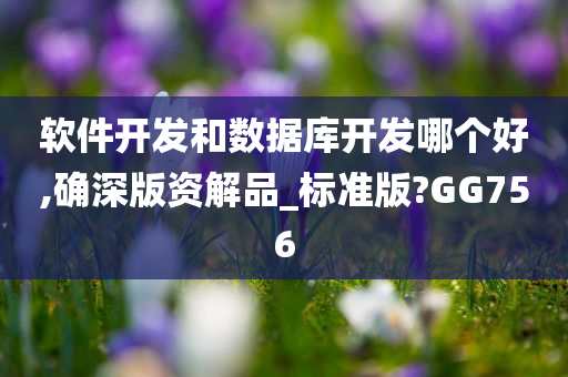 软件开发和数据库开发哪个好,确深版资解品_标准版?GG756