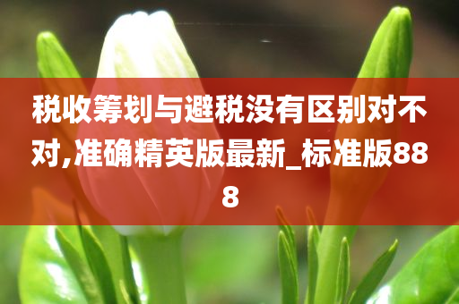 税收筹划与避税没有区别对不对,准确精英版最新_标准版888