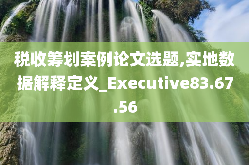 税收筹划案例论文选题,实地数据解释定义_Executive83.67.56