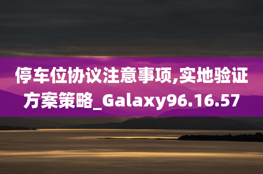 停车位协议注意事项,实地验证方案策略_Galaxy96.16.57