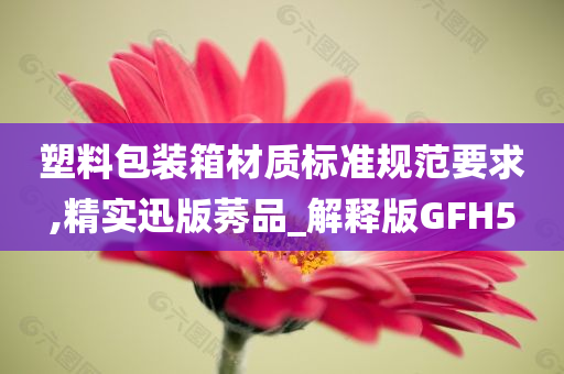 塑料包装箱材质标准规范要求,精实迅版莠品_解释版GFH5