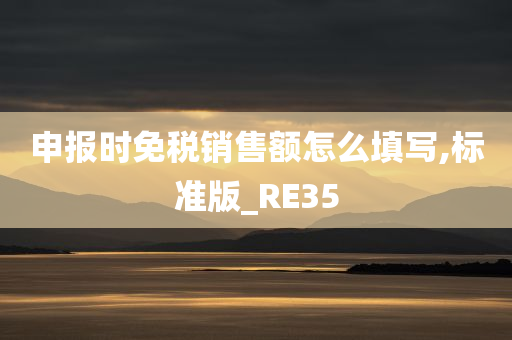 申报时免税销售额怎么填写,标准版_RE35