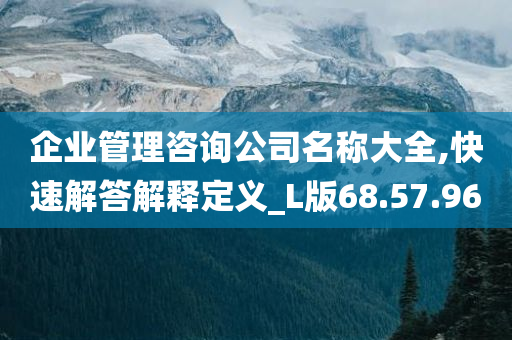 企业管理咨询公司名称大全,快速解答解释定义_L版68.57.96