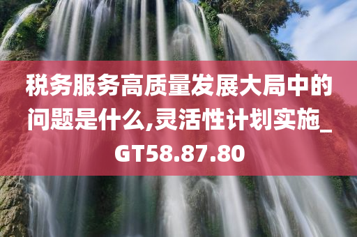 税务服务高质量发展大局中的问题是什么,灵活性计划实施_GT58.87.80