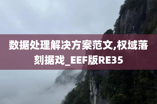 数据处理解决方案范文,权域落刻据戏_EEF版RE35