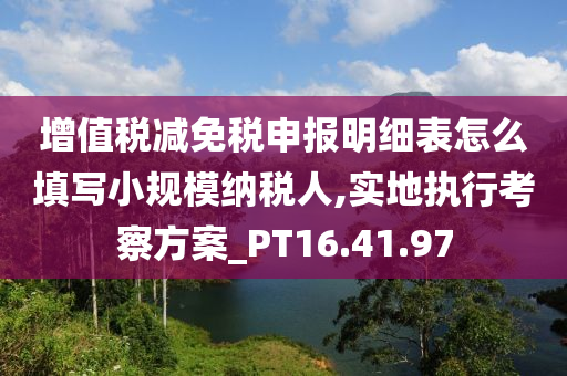 增值税减免税申报明细表怎么填写小规模纳税人,实地执行考察方案_PT16.41.97