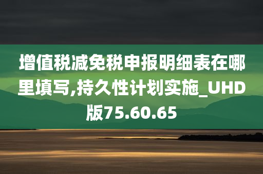 增值税减免税申报明细表在哪里填写,持久性计划实施_UHD版75.60.65