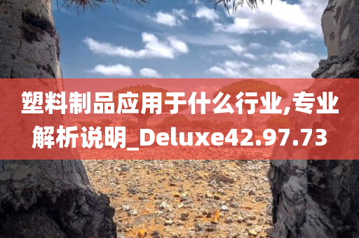 塑料制品应用于什么行业,专业解析说明_Deluxe42.97.73