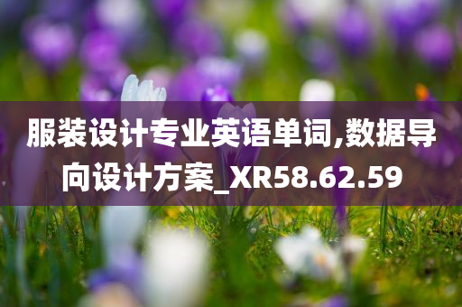 服装设计专业英语单词,数据导向设计方案_XR58.62.59