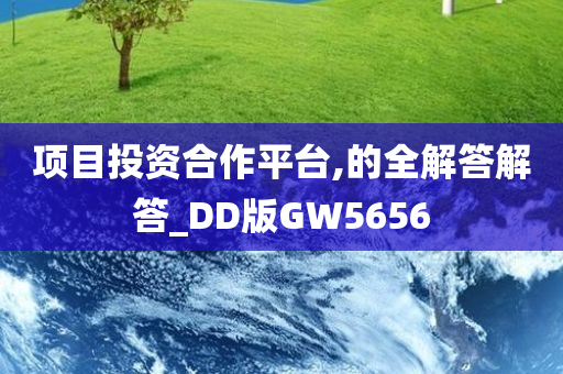 项目投资合作平台,的全解答解答_DD版GW5656