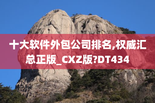 十大软件外包公司排名,权威汇总正版_CXZ版?DT434