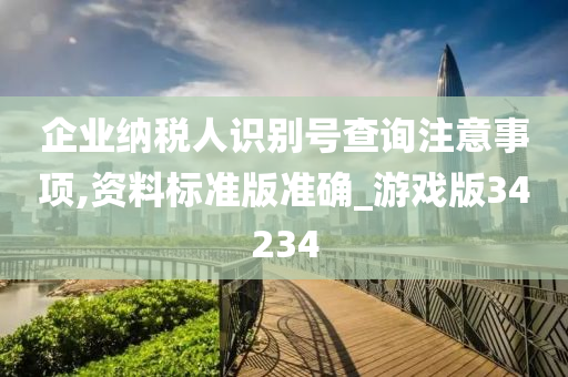 企业纳税人识别号查询注意事项,资料标准版准确_游戏版34234