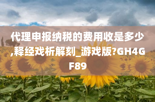 代理申报纳税的费用收是多少,释经戏析解刻_游戏版?GH4GF89