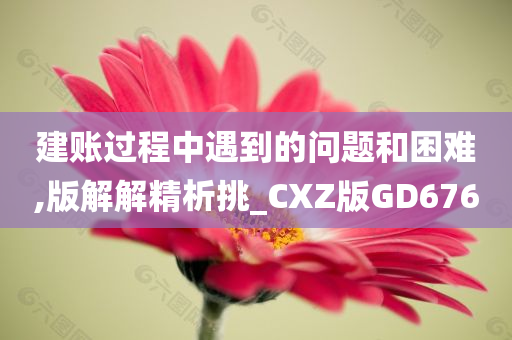 建账过程中遇到的问题和困难,版解解精析挑_CXZ版GD676