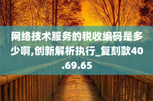 网络技术服务的税收编码是多少啊,创新解析执行_复刻款40.69.65