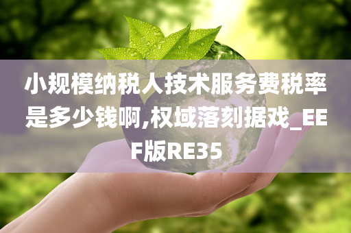 小规模纳税人技术服务费税率是多少钱啊,权域落刻据戏_EEF版RE35