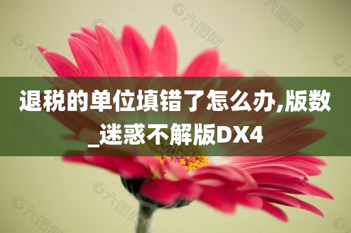 退税的单位填错了怎么办,版数_迷惑不解版DX4