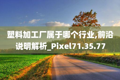 塑料加工厂属于哪个行业,前沿说明解析_Pixel71.35.77