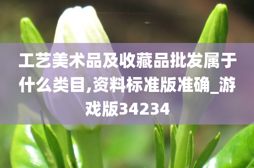 工艺美术品及收藏品批发属于什么类目,资料标准版准确_游戏版34234