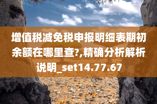 增值税减免税申报明细表期初余额在哪里查?,精确分析解析说明_set14.77.67