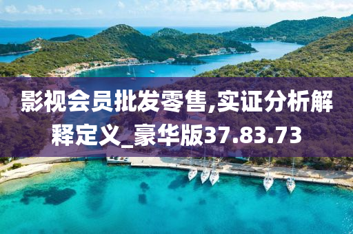 影视会员批发零售,实证分析解释定义_豪华版37.83.73