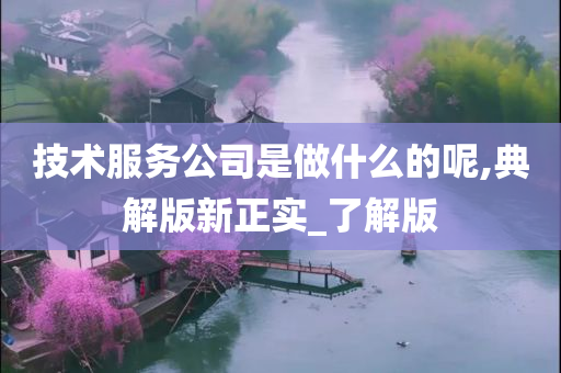 技术服务公司是做什么的呢,典解版新正实_了解版