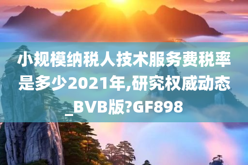 小规模纳税人技术服务费税率是多少2021年,研究权威动态_BVB版?GF898