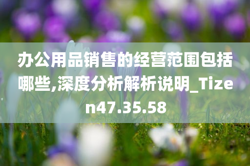 办公用品销售的经营范围包括哪些,深度分析解析说明_Tizen47.35.58