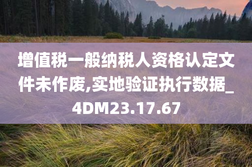 增值税一般纳税人资格认定文件未作废,实地验证执行数据_4DM23.17.67