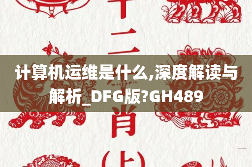 计算机运维是什么,深度解读与解析_DFG版?GH489