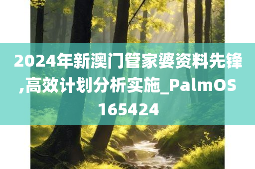 2024年新澳门管家婆资料先锋,高效计划分析实施_PalmOS165424