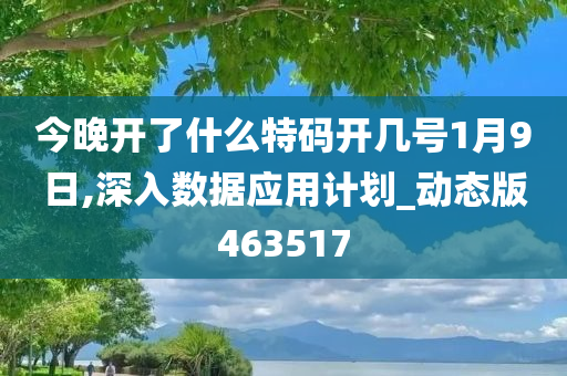 今晚开了什么特码开几号1月9日,深入数据应用计划_动态版463517