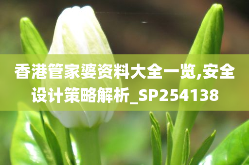 香港管家婆资料大全一览,安全设计策略解析_SP254138