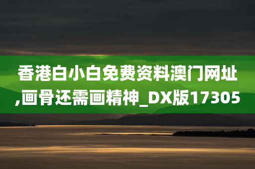 香港白小白免费资料澳门网址,画骨还需画精神_DX版173050