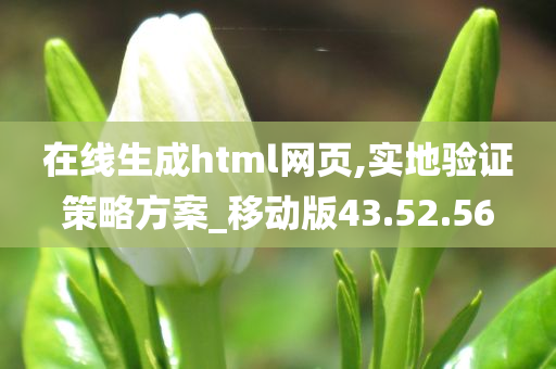 在线生成html网页,实地验证策略方案_移动版43.52.56