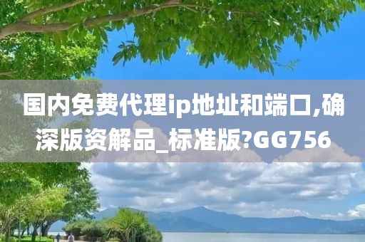 国内免费代理ip地址和端口,确深版资解品_标准版?GG756