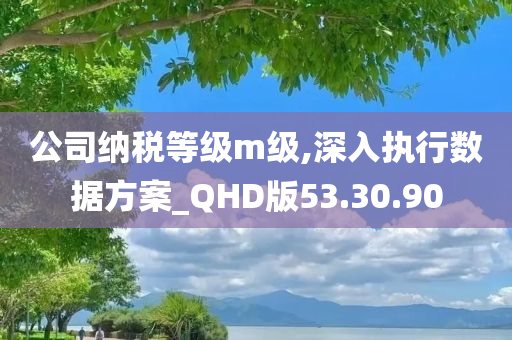 公司纳税等级m级,深入执行数据方案_QHD版53.30.90