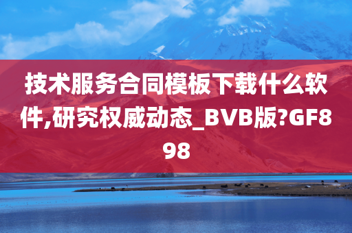 技术服务合同模板下载什么软件,研究权威动态_BVB版?GF898