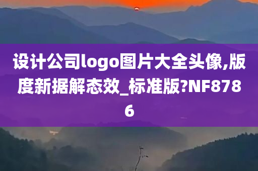 设计公司logo图片大全头像,版度新据解态效_标准版?NF8786