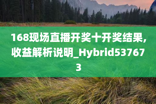 168现场直播开奖十开奖结果,收益解析说明_Hybrid537673