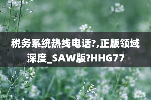 税务系统热线电话?,正版领域深度_SAW版?HHG77