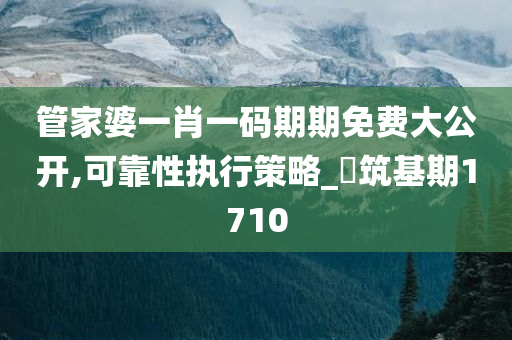 管家婆一肖一码期期免费大公开,可靠性执行策略_‌筑基期1710