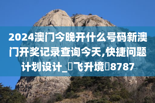 2024澳门今晚开什么号码新澳门开奖记录查询今天,快捷问题计划设计_‌飞升境‌8787