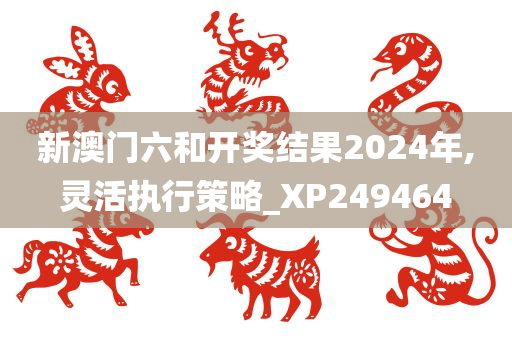 新澳门六和开奖结果2024年,灵活执行策略_XP249464