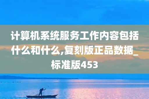 计算机系统服务工作内容包括什么和什么,复刻版正品数据_标准版453