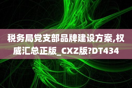 税务局党支部品牌建设方案,权威汇总正版_CXZ版?DT434